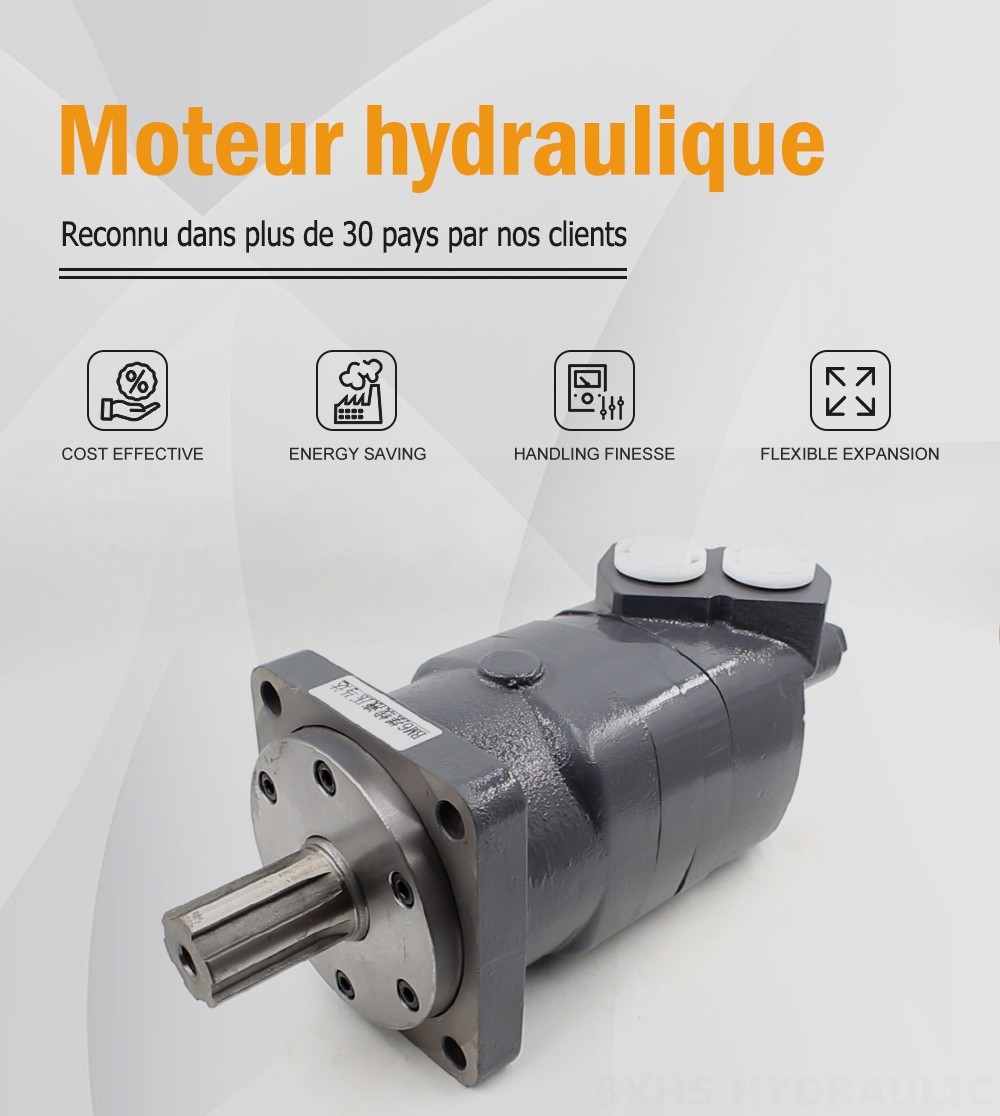 Moteur hydraulique cycloïdal BM6 195 cm³/tr 150 L/min Moteur hydraulique
